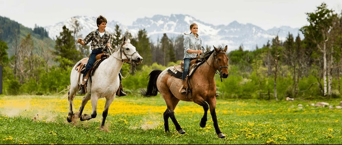 Confident plus-size woman riding Nottinghamshire a horse through a field with a smile on her face.